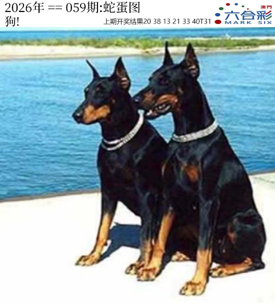 059期正版蛇蛋图[图]