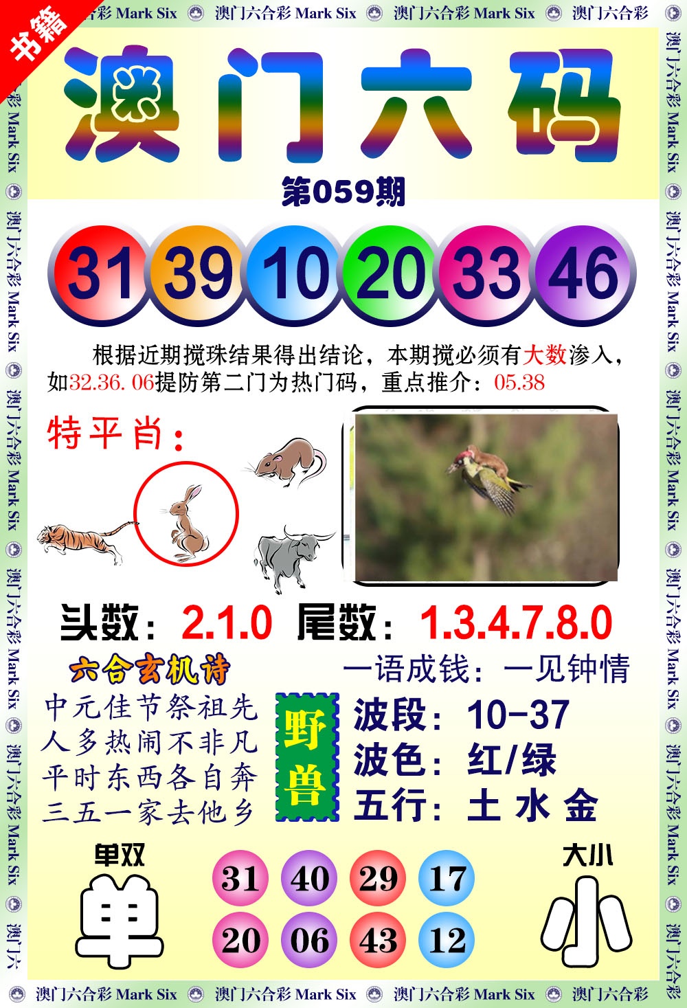 059期澳门望子成龙[图]