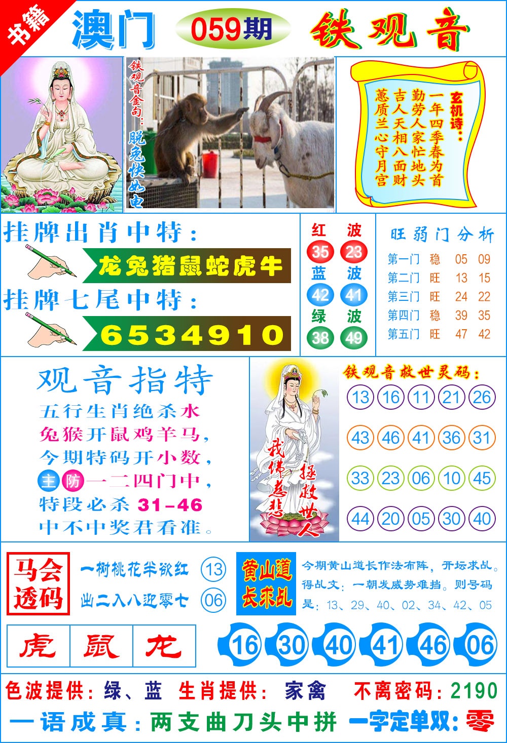 059期澳门铁观音[图]