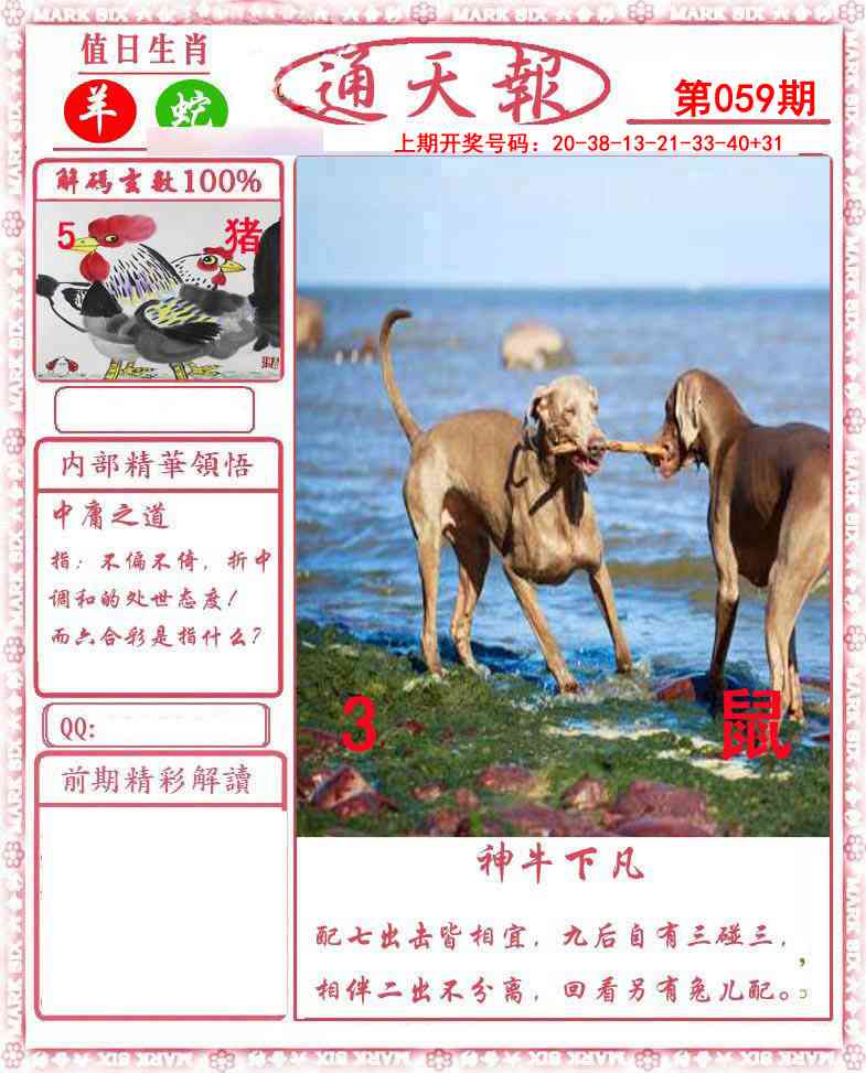 059期正版通天报[图]