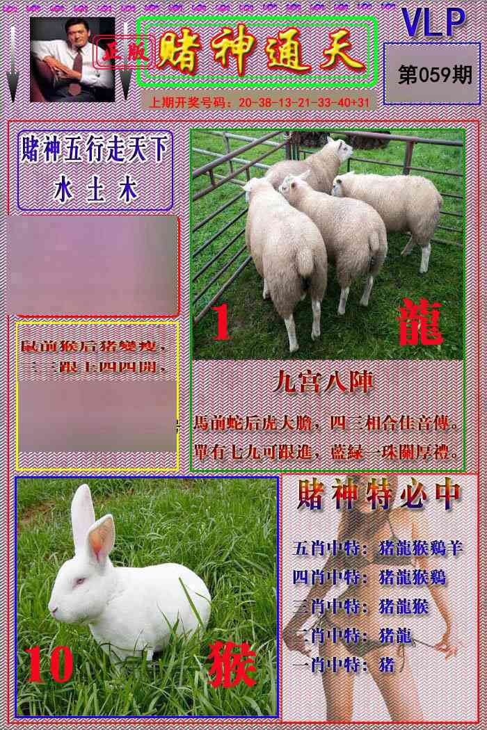 059期赌神通天报[图]