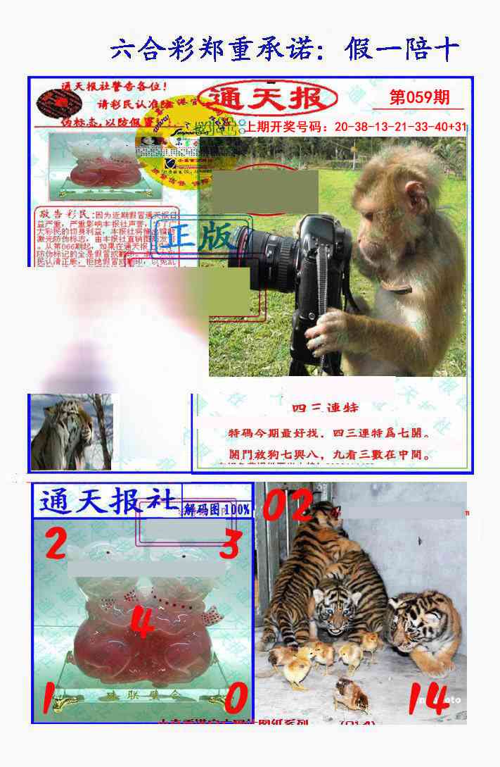 059期假一陪十通天报[图]