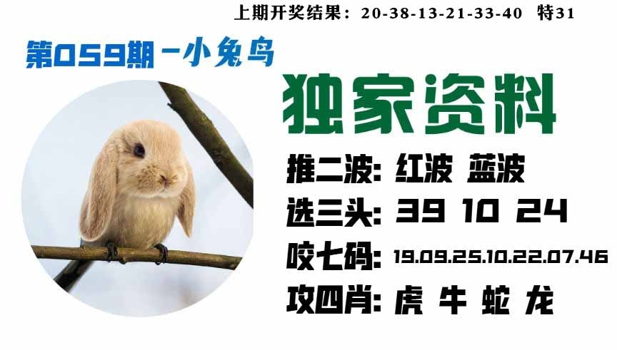 059期小兔鸟[图]