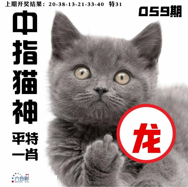 059期中指猫神[图]